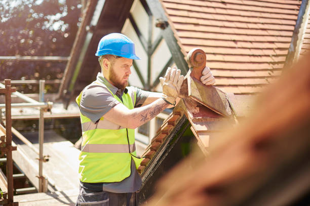 Best Roof Gutter Cleaning  in Yuc Valley, CA